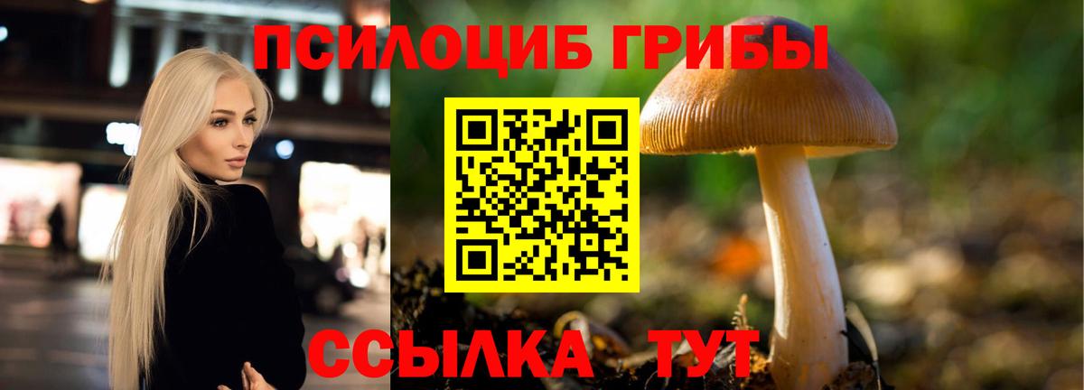 ГАШ  Вход с VPN  ТГК  КОКАИН  Меф МЯУ МЯУ  Нурлат  Меф МЯУ МЯУ кристаллы  ЭКСТАЗИ  Канабис 